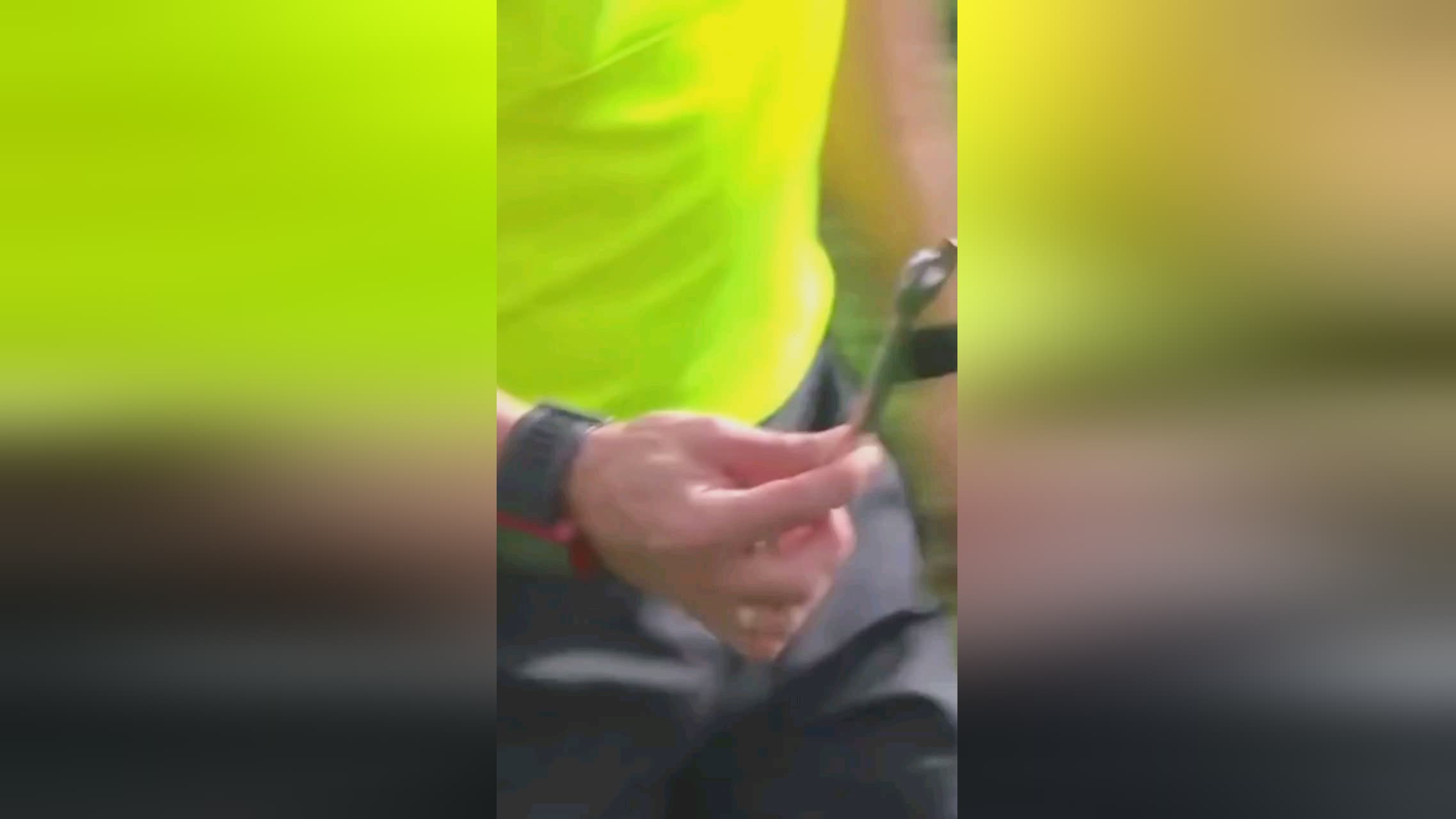 的亚洲杯