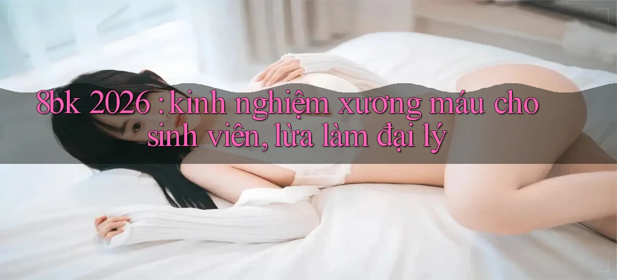 8bk 2026 kinh nghiệm xương máu cho sinh viên, lừa làm đại lý