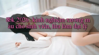 8bk 2026 kinh nghiệm xương máu cho sinh viên, lừa làm đại lý