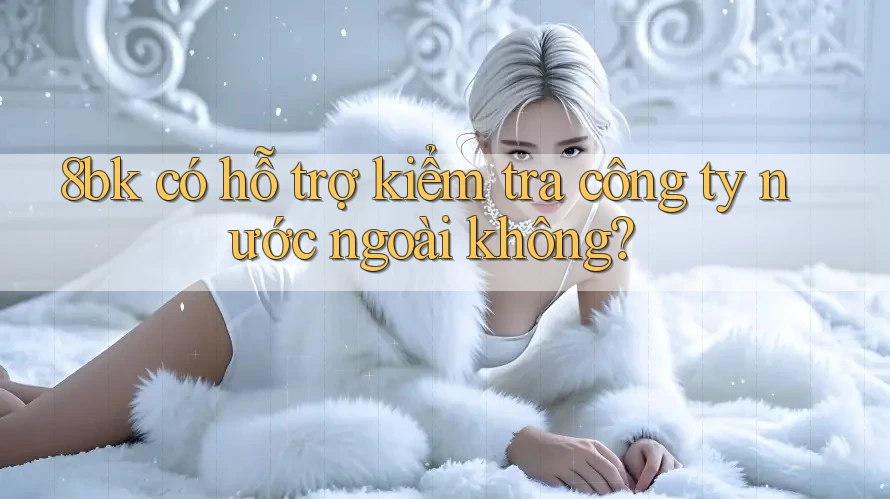8bk có hỗ trợ kiểm tra công ty nước ngoài không?