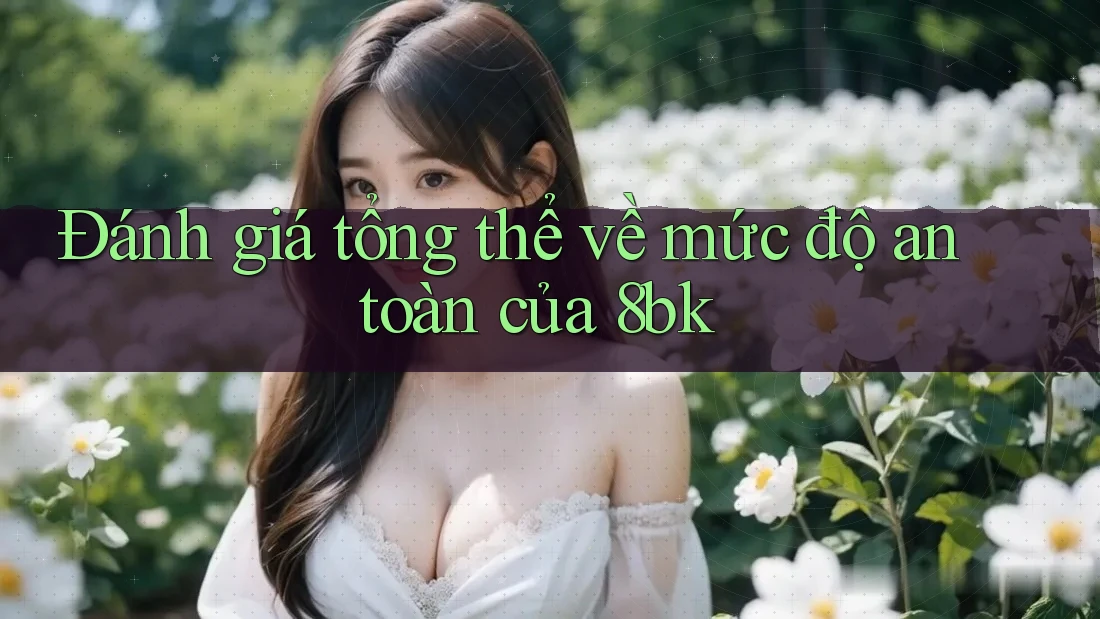 Đánh giá tổng thể về mức độ an toàn của 8bk