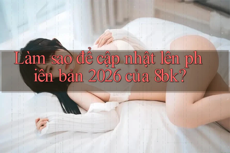 Làm sao để cập nhật lên phiên bản 2026 của 8bk?