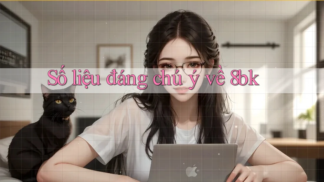 Số liệu đáng chú ý về 8bk