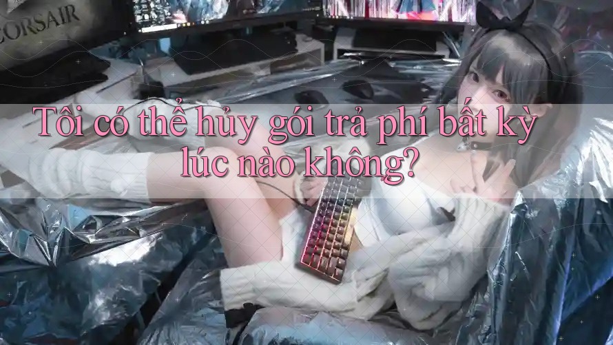 Tôi có thể hủy gói trả phí bất kỳ lúc nào không?