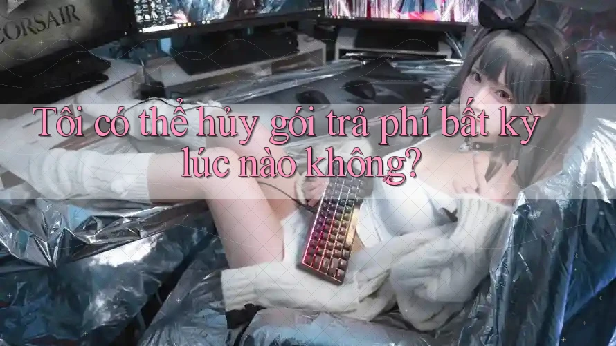 Tôi có thể hủy gói trả phí bất kỳ lúc nào không?
