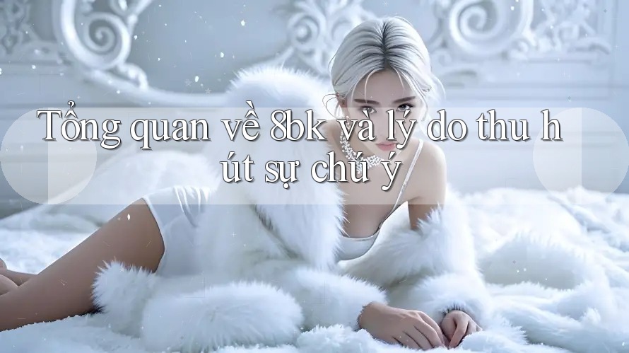 Tổng quan về 8bk và lý do thu hút sự chú ý