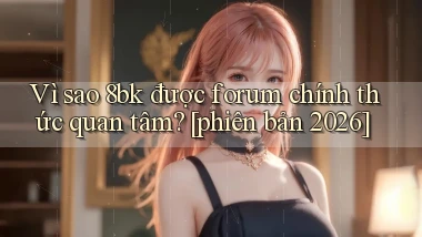 Vì sao 8bk được forum chính thức quan tâm [phiên bản 2026]